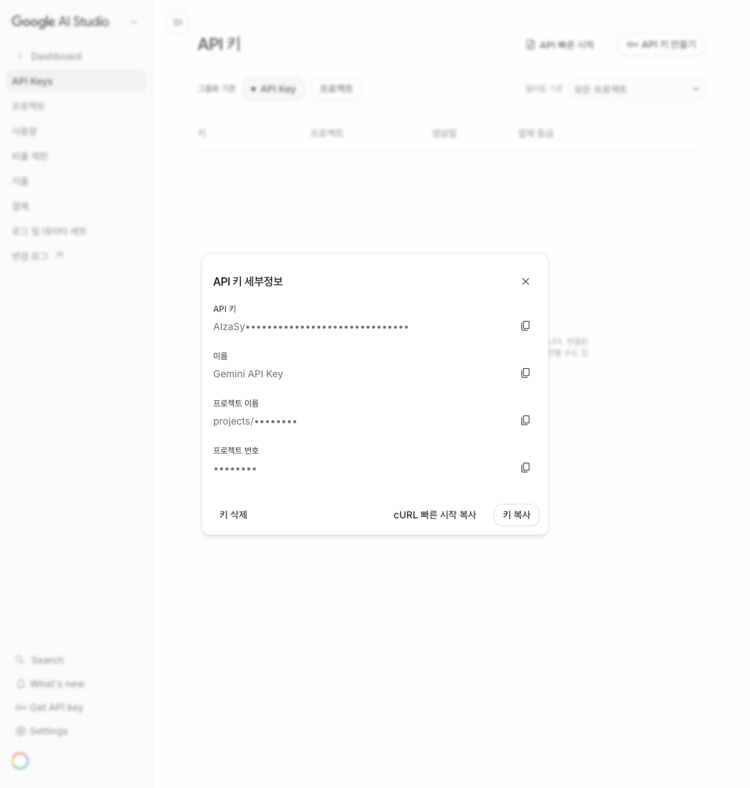 API 키 세부정보 다이얼로그